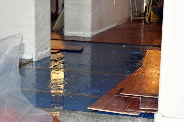 Professional Sewage Cleanup technician working in Portage, MI
